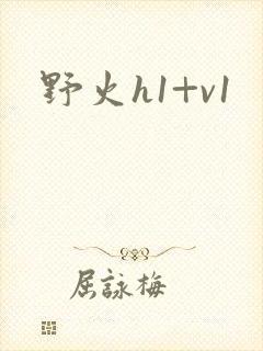 野火h1+v1