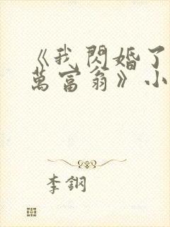 《我闪婚了个亿万富翁》小说