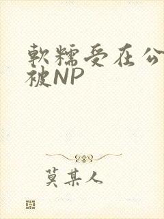 软糯受在公交车被NP