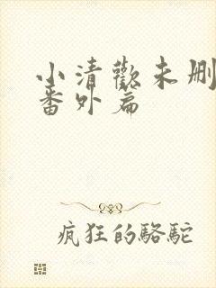 小清欢未删减版番外篇