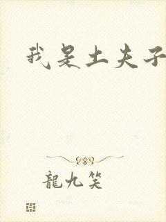 我是土夫子