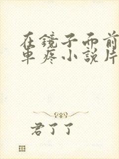 在镜子面前做开车疼小说片段