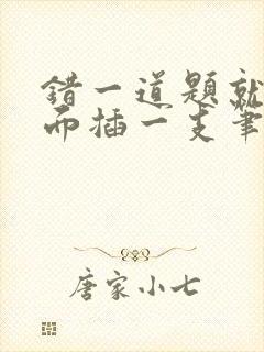 错一道题就往下面插一支笔怎么办