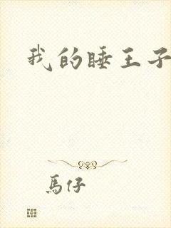 我的睡王子殿下
