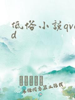 低俗小说qvod
