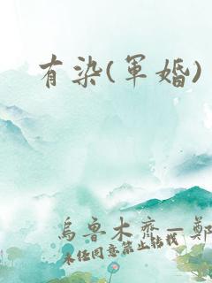 有染(军婚)