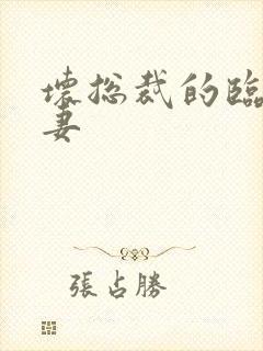 坏总裁的临时娇妻