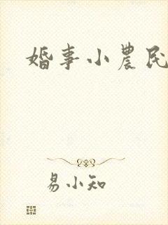 婚事小农民