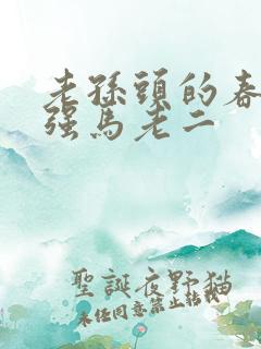 老孙头的春天马强马老二