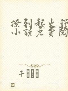 撩到起火舒漾的小说免费阅读全文