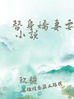 替身娇妻要离婚 小说