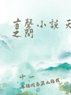 有声小说 天地之间