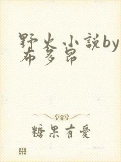 野火小说by夏布多昂