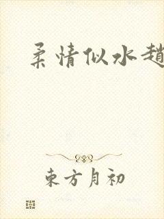 柔情似水赵雅儿