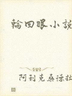 轮回眼小说