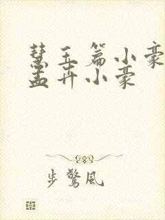 慧玉篇小豪续上孟卉小豪