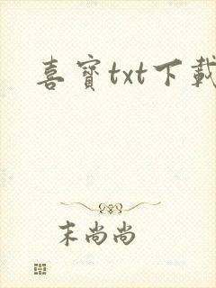 喜宝txt下载