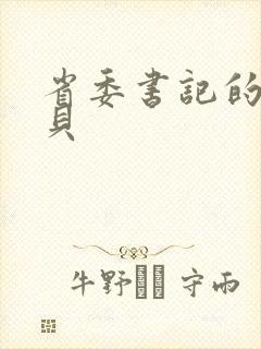 省委书记的小宝贝