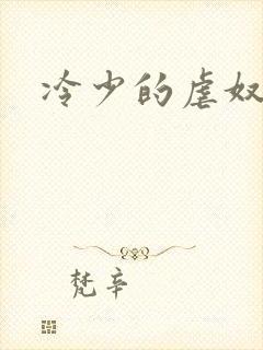 冷少的虐奴
