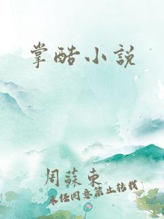 掌酷小说