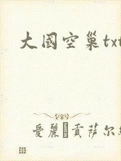 大国空巢txt