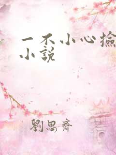 一不小心捡到爱小说