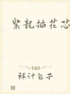 紫龙插花芯方正