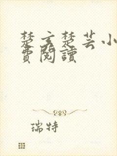 楚玄楚芸小说免费阅读