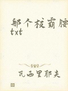 那个校霸腰好软txt