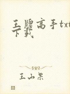 王牌高手txt下载