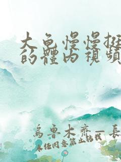 大龟慢慢挺进我的体内视频