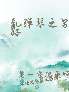 乱弹琴之另一条路