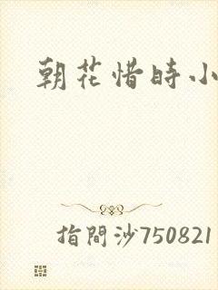 朝花惜时小说
