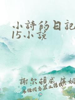 小诗的日记1一15小说