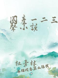 国产一二三区有声小说