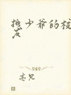 拽少爷的校花女友