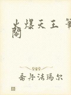 火爆天王 笔趣阁