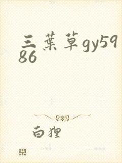 三叶草gy5986