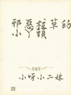 邪恶校草的拽拽小丫头