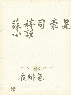 苏婷司豪是什么小说