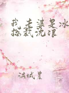 我老婆是冰山女总裁沈浪