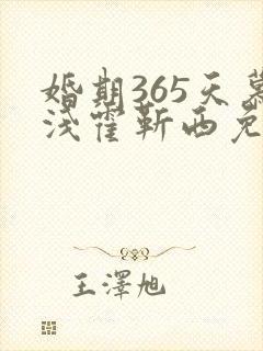 婚期365天慕浅霍靳西免费阅读