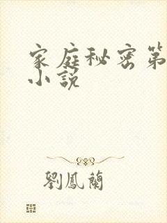 家庭秘密第3集小说