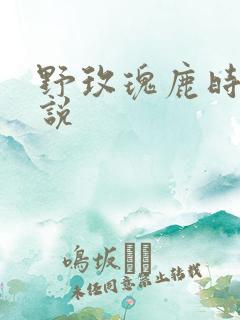 野玫瑰鹿时安小说