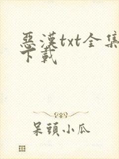 恶汉txt全集下载