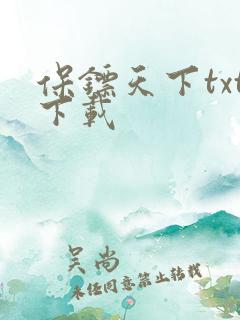 保镖天下txt下载