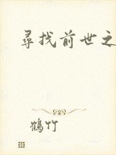 寻找前世之旅4