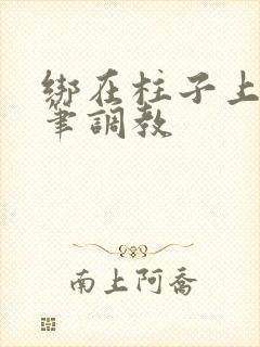 绑在柱子上用毛笔调教