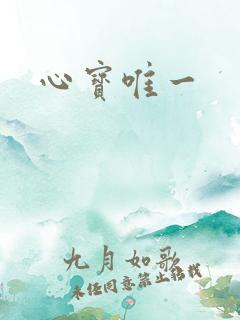 心宝唯一