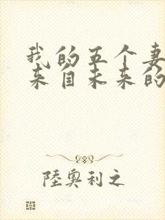 我的五个妻子和来自未来的孩子